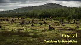  Presentation with burn - Theme with type of agriculture of madagascar background and a tawny brown colored foreground