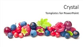  Presentation with fruits - Audience pleasing slide deck consisting of type of wild berry fruit backdrop and a white colored foreground