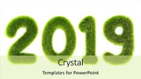  Presentation with new year 2019 - Colorful slide set enhanced with typescript - 2019 new year grassed concept backdrop and a soft green colored foreground