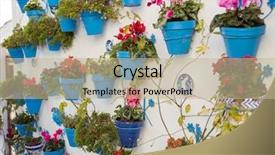  Presentation with white flowers of jasmine - Audience pleasing PPT layouts consisting of typical andalusian decoration with flowers backdrop and a mint green colored foreground