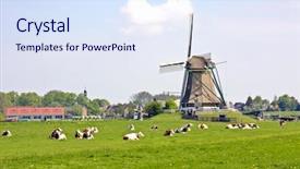  Presentation with dutch - Beautiful PPT theme featuring typical dutch landscape in summertime in the netherlands backdrop and a sky blue colored foreground