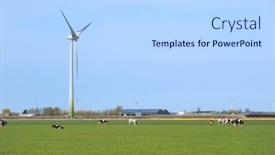  Presentation with wind turbines - Colorful PPT layouts enhanced with typical-dutch-landscape-with-cows backdrop and a light gray colored foreground