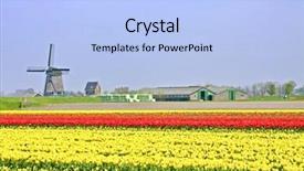  Presentation with windmill - Audience pleasing PPT theme consisting of typical dutch windmill tulipfields backdrop and a light blue colored foreground