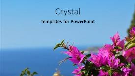  Presentation with bougainvilleas - Presentation design enhanced with typical greek colorful garden flowers bougainvilleas over the ocean water background and a light blue colored foreground