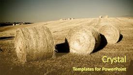  Presentation with tuscany - Slides enhanced with typical landscape in italian region tuscany background and a tawny brown colored foreground