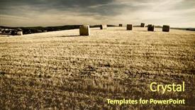  Presentation with tuscany - Colorful slides enhanced with typical landscape in italian region backdrop and a tawny brown colored foreground