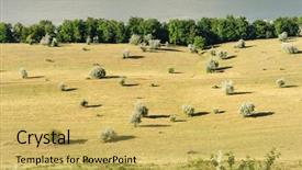  Presentation with lanscape - Beautiful slides featuring typical lanscape view of dniester backdrop and a yellow colored foreground