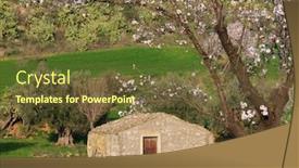  Presentation with pear - PPT theme having typical-rural-landscape-of-sicily background and a tawny brown colored foreground