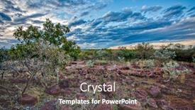  Presentation with sky blue - Amazing presentation theme having typical-southern-african-landscape-bush backdrop and a dark gray colored foreground