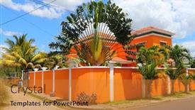  Presentation with palm - Slide deck having typical-street-with-palm-trees background and a gold colored foreground