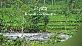  Presentation with rice fields - Audience pleasing presentation theme consisting of typical terrace rice fields of bali indonesia backdrop and a tawny brown colored foreground