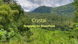  Presentation with rice fields - PPT layouts featuring typical terrace rice fields of bali indonesia background and a tawny brown colored foreground