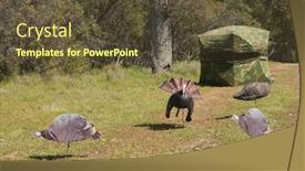  Presentation with blind - PPT layouts consisting of typical-turkey-hunting-blind background and a tawny brown colored foreground