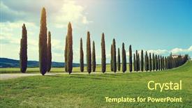  Presentation with meadow - Amazing theme having typical tuscan countryside with cypress backdrop and a tawny brown colored foreground