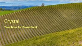  Presentation with vineyard - Presentation theme consisting of typical-tuscan-landscape-with-vineyard background and a tawny brown colored foreground