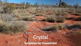  Presentation with australian outback - Theme having typical vegetation in central australian background and a red colored foreground