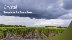  Presentation with vineyards - PPT theme featuring typical-vineyards-near-chateau-d background and a teal colored foreground