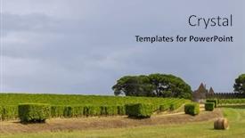  Presentation with vineyards - Slides with typical-vineyards-near-chateau-d background and a  colored foreground