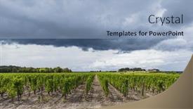  Presentation with vineyards - Presentation theme enhanced with typical-vineyards-near-chateau-d background and a light blue colored foreground