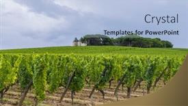 Presentation with vineyards - Presentation design consisting of typical-vineyards-near-chateau-d background and a  colored foreground