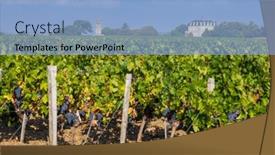  Presentation with vineyards - PPT theme having typical-vineyards-near-chateau-la background and a  colored foreground