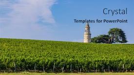  Presentation with vineyards - Presentation design featuring typical-vineyards-near-chateau-la background and a light blue colored foreground