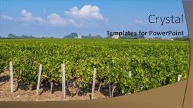  Presentation with tour - Slides consisting of typical-vineyards-near-chateau-la background and a light blue colored foreground