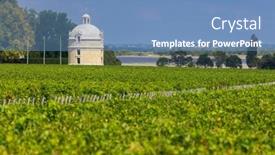  Presentation with vineyards - PPT layouts featuring typical-vineyards-near-chateau-latour background and a  colored foreground