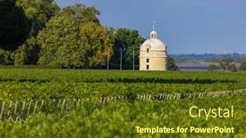  Presentation with vineyards - PPT layouts having typical-vineyards-near-chateau-latour background and a tawny brown colored foreground