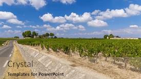  Presentation with vineyards - Theme consisting of typical-vineyards-near-chateau-latour background and a coral colored foreground