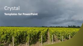  Presentation with vineyards - Presentation design having typical-vineyards-near-saint-julien background and a gray colored foreground