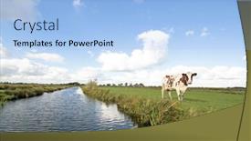  Presentation with wide - Theme featuring typical-wide-dutch-landscape background and a light blue colored foreground