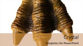  Presentation with spooky - Beautiful presentation theme featuring tyrannosaurus - monster toy or animal dinosaur backdrop and a gold colored foreground