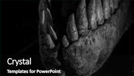  Presentation with dinosaur - Slides enhanced with tyrannosaurus rex dinosaur tusks long background and a black colored foreground