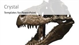  Presentation with skull - Cool new presentation with tyrannosaurus-rex-skull backdrop and a white colored foreground