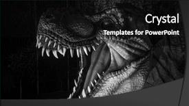  Presentation with jaw - Audience pleasing slides consisting of tyrannosaurus rex strong jaw full backdrop and a black colored foreground