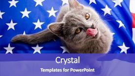  Presentation with british - Beautiful slide deck featuring u s a flag backdrop and a cobalt blue colored foreground