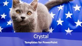  Presentation with animal - Cool new theme with u s flag - u s animal backdrop and a cobalt blue colored foreground