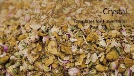  Presentation with uae - Presentation theme having uae-dubai-dried-small-roses background and a gold colored foreground