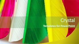  Presentation with close up of bartender - Audience pleasing PPT theme consisting of uber - shuttlecocks birdie close-up backdrop and a forest green colored foreground