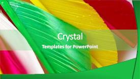  Presentation with close up of rusty rebar - Colorful slide deck enhanced with uber - shuttlecocks birdie close-up backdrop and a shamrock green colored foreground