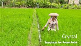  Presentation with population - 