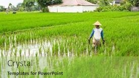  Presentation with population - 