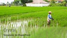  Presentation with population - 