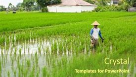  Presentation with population - 