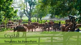  Presentation with milk baby - 