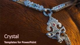  Presentation with mongolian - Colorful slide deck enhanced with ulaanbaatar - harness of mongolian horses closeup backdrop and a wine colored foreground