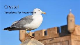  Presentation with seagull - Audience pleasing presentation theme consisting of unbreakable - fortress wall and lonely seagull backdrop and a  colored foreground