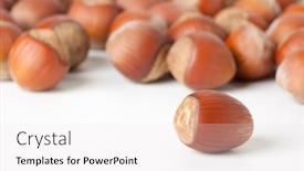  Presentation with hazelnuts - Audience pleasing PPT layouts consisting of unbroken-hazelnuts-on-white-surface backdrop and a white colored foreground