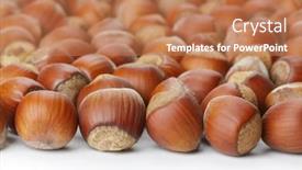  Presentation with hazelnuts - Colorful PPT layouts enhanced with unbroken-hazelnuts-on-white-surface backdrop and a coral colored foreground